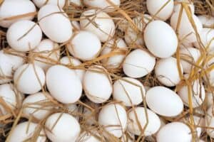 huevos sanos para vista