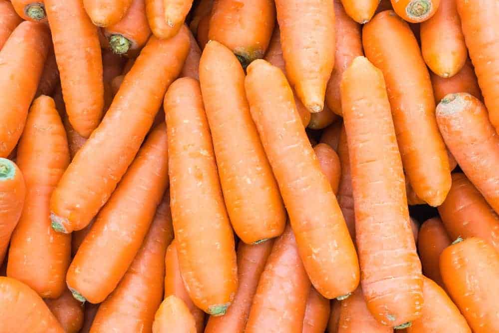 Top 5 mejores alimentos para la vista