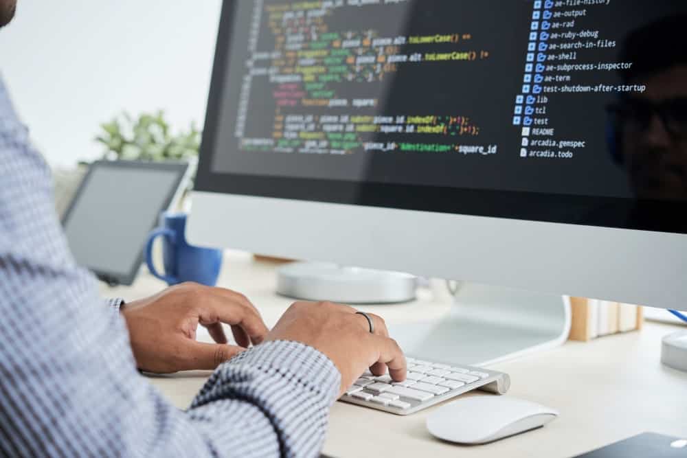 programador freelance web