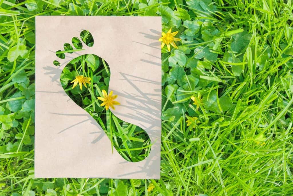 ¿Cómo se calcula la huella ecológica?