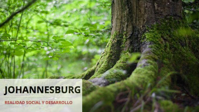 Cómo evitar una sexta extinción masiva Cómo evitar una sexta extinción masiva