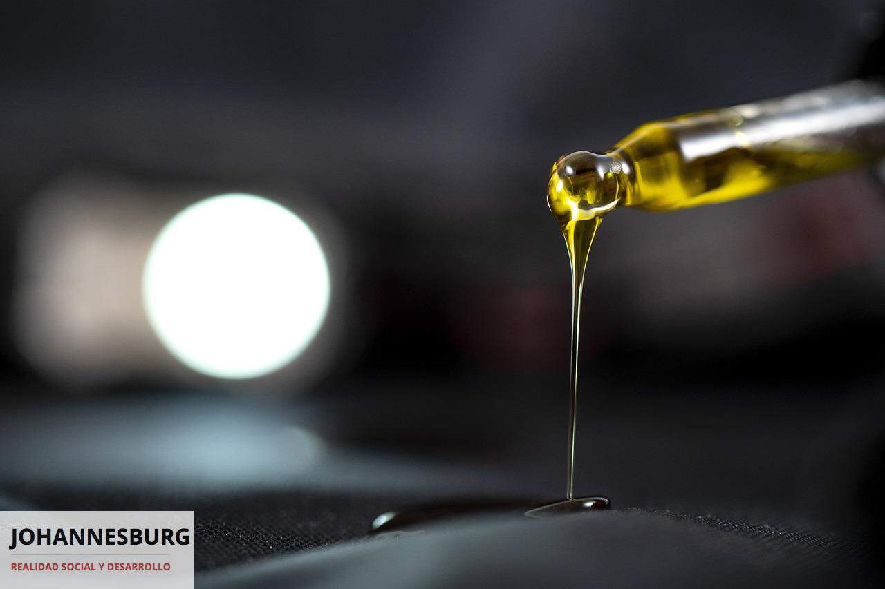 Montar CBD Shop en España