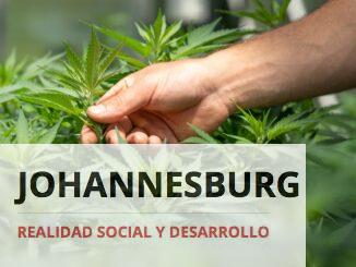 Top 5 Grow Shops online