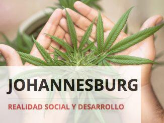 Los componentes de la marihuana: ¿Cuáles son legales y cuáles no?