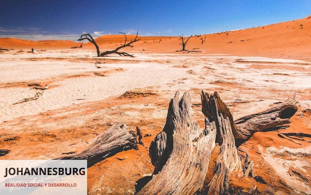 La sostenibilidad y los golpes de calor: ¿Cómo reducir al máximo nuestra huella?