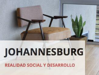 brown fabric padded armchair beside green snake plant inside room