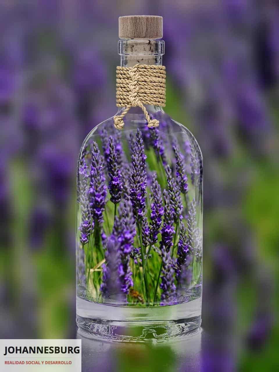 botella personalizada