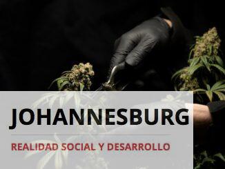 person in black leather gloves holding green plant