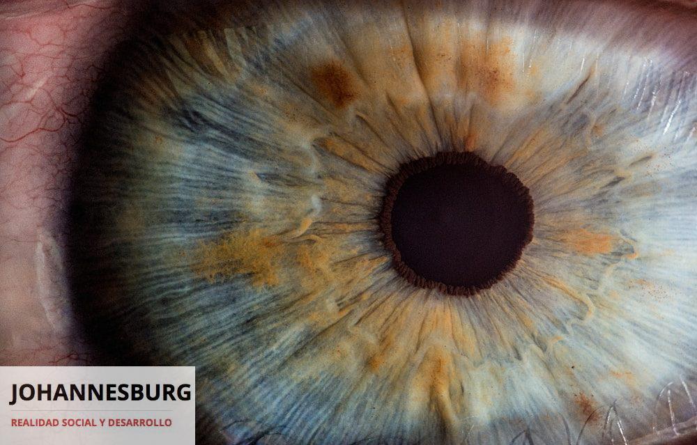 macro photography of human eye