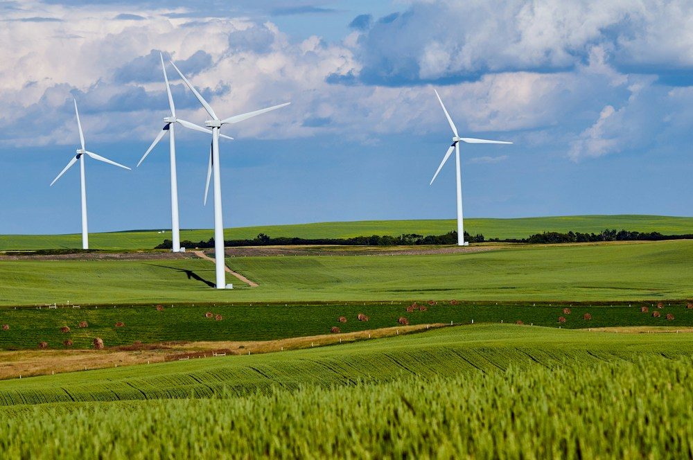 Aerogeneradores en un campo verde, imagen del desarrollo sostenible